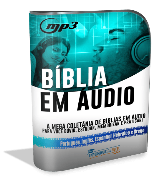 modernsoftwarebox_550x660 biblia